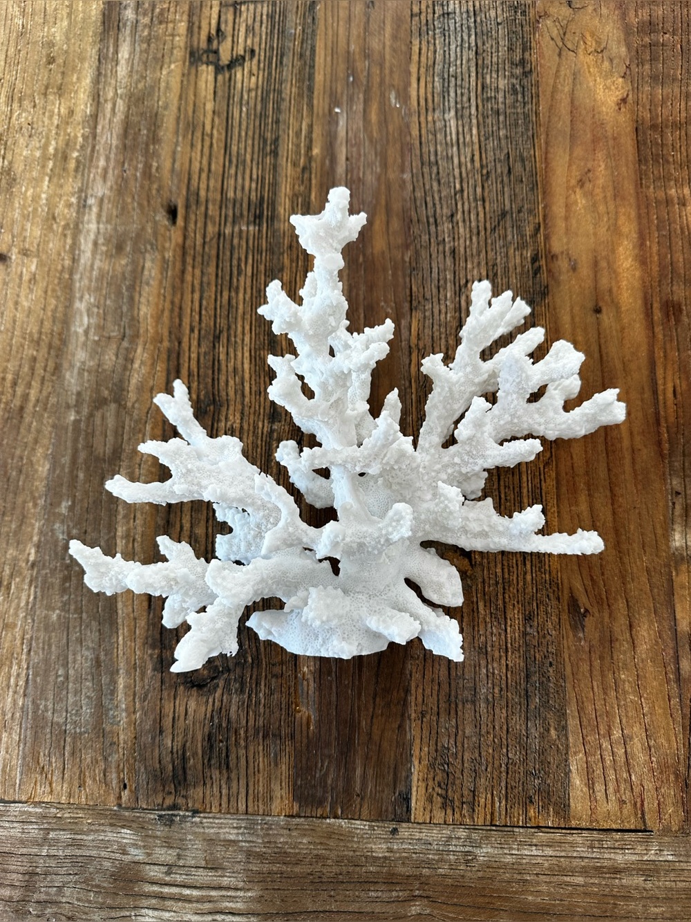 White Decorative Coral Accent Sculpture - Coastal Home Decor